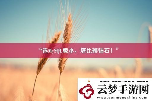 “選MySQL版本-堪比挑鉆石！”