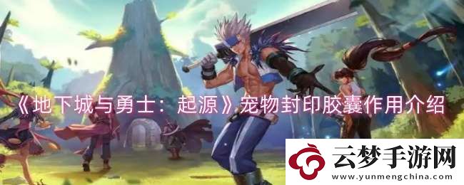 dnf手游寵物封印膠囊有什么用