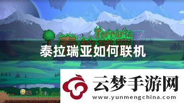 泰拉瑞亞如何聯(lián)機(jī)-好友聯(lián)機(jī)的具體詳細(xì)方法的攻略