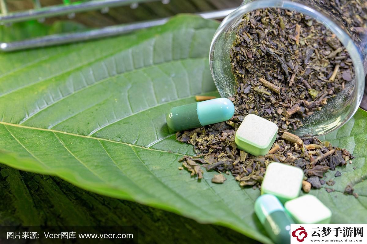 “三角地”里的新晉網(wǎng)紅：三葉草研究實(shí)驗(yàn)室