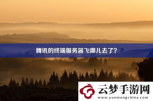 騰訊的終端服務(wù)器飛哪兒去了