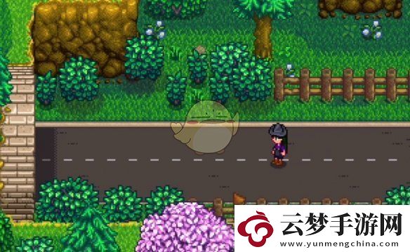 星露谷物語神秘的齊任務(wù)怎么做