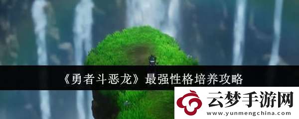 勇者斗惡龍最強性格怎么培養(yǎng)