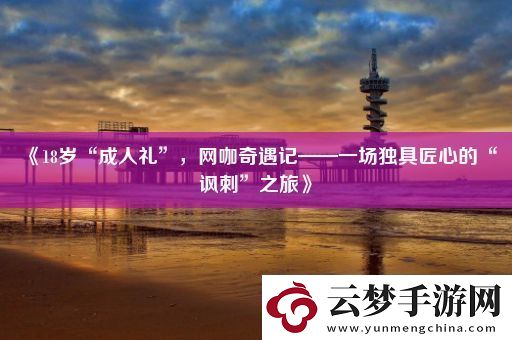 18歲“成人禮”-網(wǎng)咖奇遇記——一場獨具匠心的“諷刺”之旅
