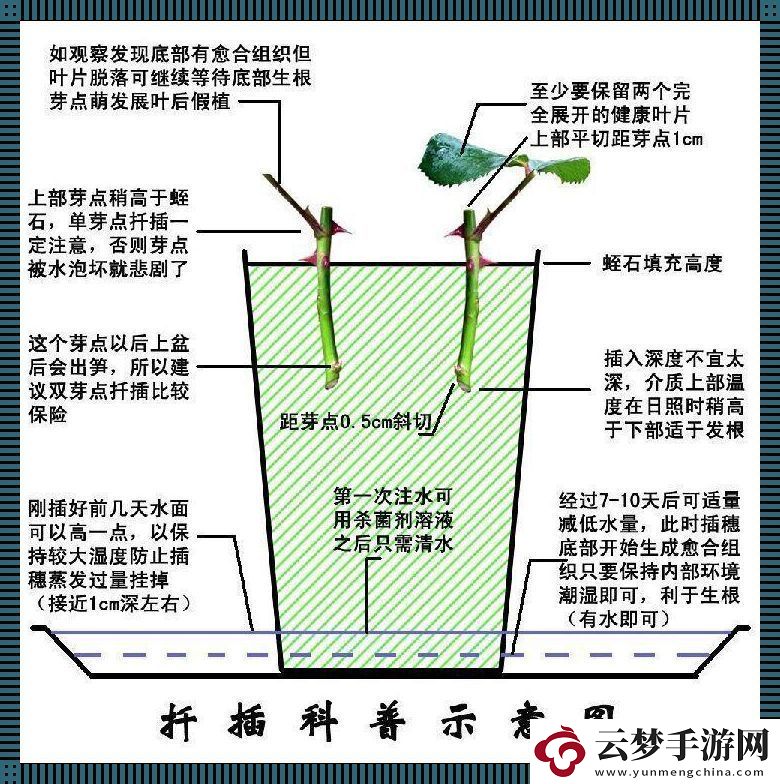 日本72變插花術(shù)：笑談東瀛創(chuàng)新風(fēng)潮