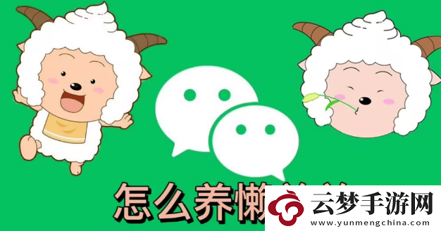 微信狀態(tài)怎么養(yǎng)動物-微信狀態(tài)怎么養(yǎng)寵物