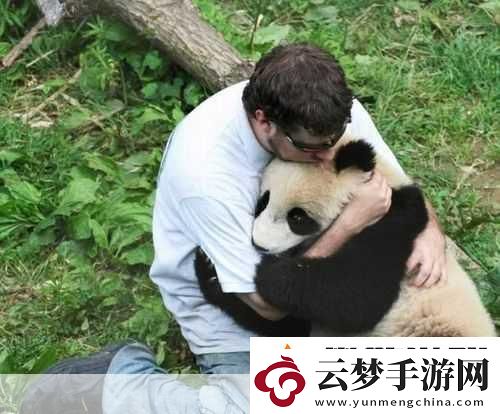 人物動(dòng)物互動(dòng)高清視頻素材：-人與動(dòng)物的溫馨瞬間：親密互動(dòng)分享