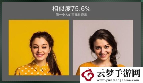 顏面相似度大挑戰(zhàn)：笑掉大牙的網(wǎng)絡(luò)狂想曲