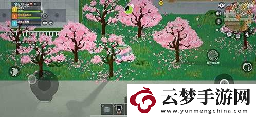 小動(dòng)物之星隱藏成就桃花林位置分享