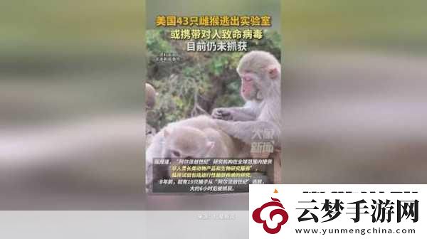 藥企囤猴熱引發(fā)手游界遐想-實驗猴成珍稀寵物