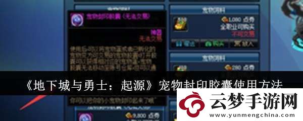 地下城與勇士起源寵物封印膠囊怎么用