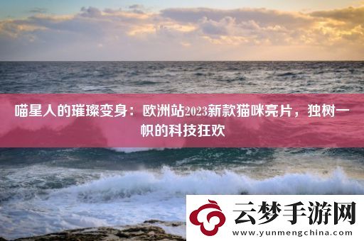 喵星人的璀璨變身：歐洲站2023新款貓咪亮片-獨樹一幟的科技狂歡