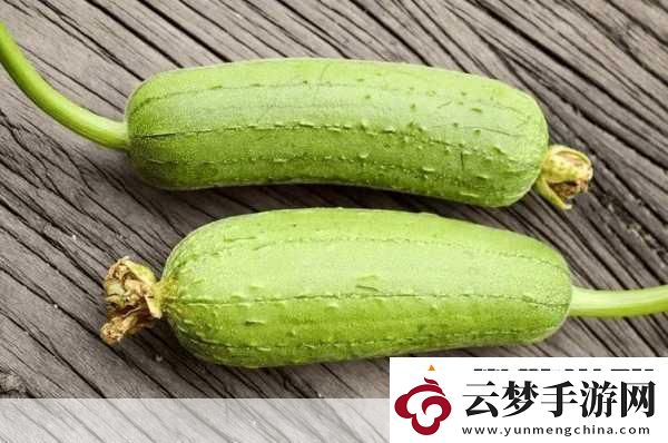 小豬草莓絲瓜深夜釋放自己歌詞探索