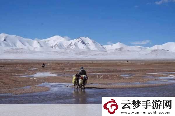 無人區(qū)探險
