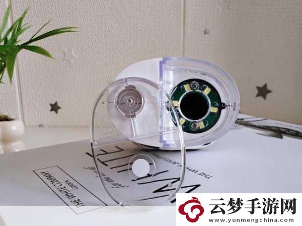 探索我的世界微觀世界-最小生物排行大揭秘-蠹蟲意外落榜