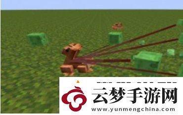 我的世界青蛙有什么用-我的世界青蛙用途介紹