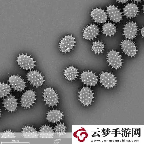 探索我的世界微觀世界