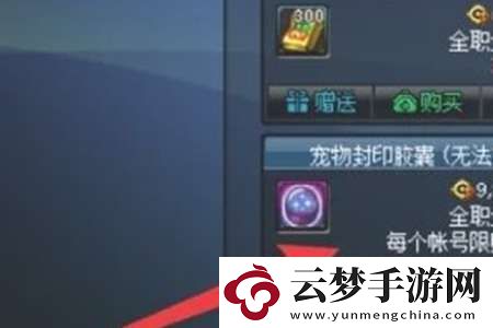 地下城與勇士起源寵物封印膠囊怎么用