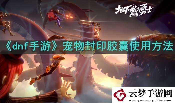 dnf手游寵物封印膠囊怎么用