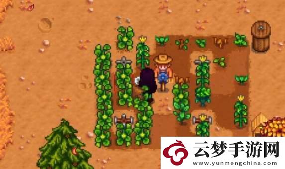 星露谷物語雕刻南瓜任務(wù)怎么做