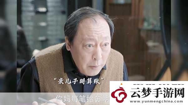 媳婦蘇大強-1.-蘇大強的媳婦：家庭與事業(yè)的平衡之道