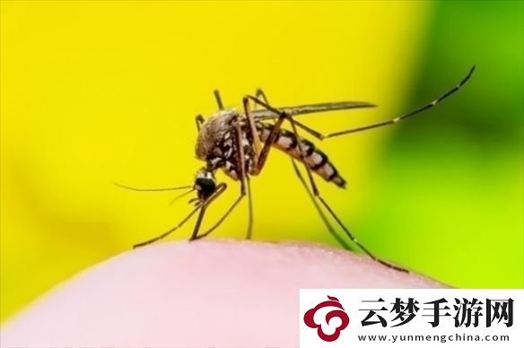 化敵為友！科學(xué)家讓蚊子為人類打疫苗