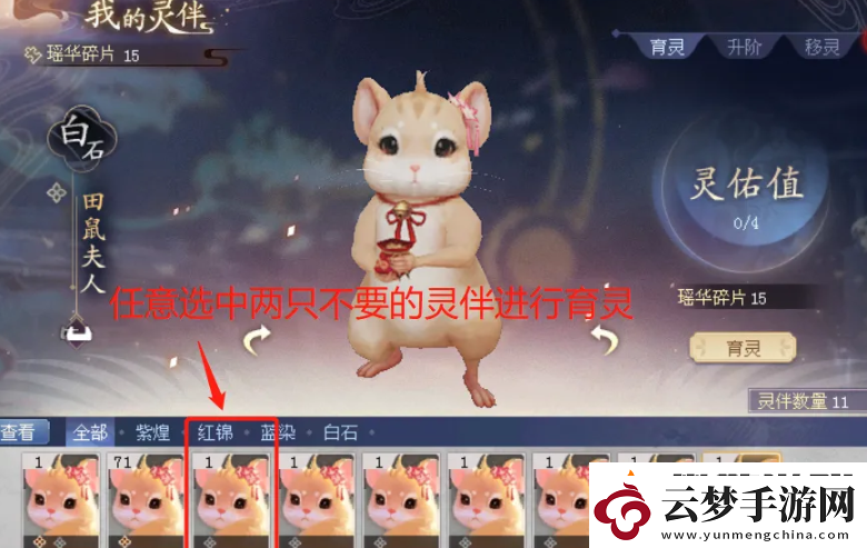 迅捷！倩女幽魂靈伴怎么升階