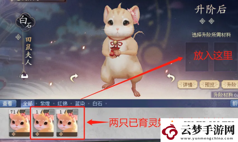 迅捷！倩女幽魂靈伴怎么升階