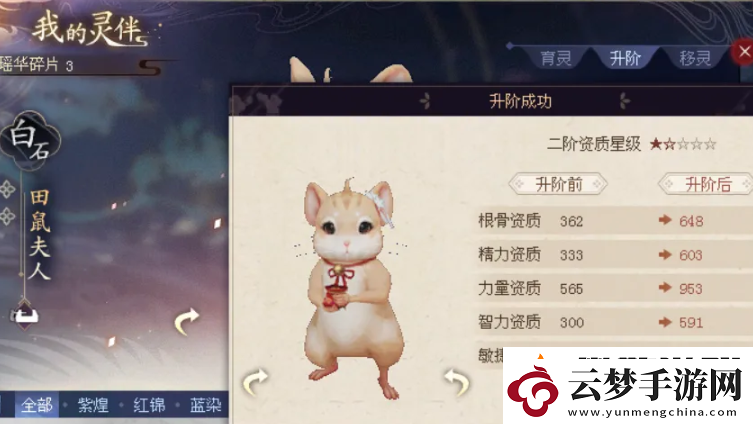 迅捷！倩女幽魂靈伴怎么升階