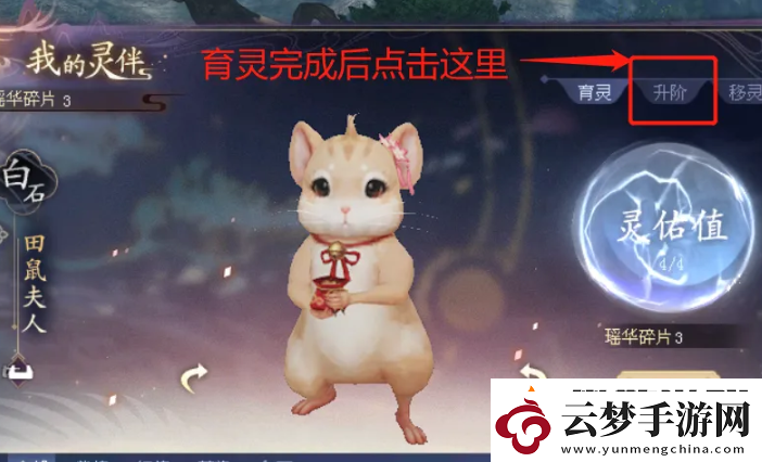 迅捷！倩女幽魂靈伴怎么升階