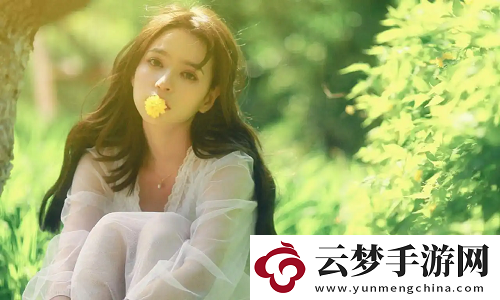 國內(nèi)永久免費(fèi)SaaS