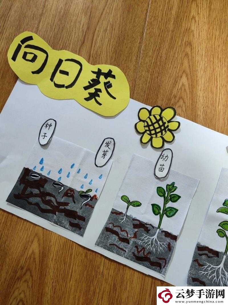 坐在根莖寫作業(yè)好嗎：探討其合理性！