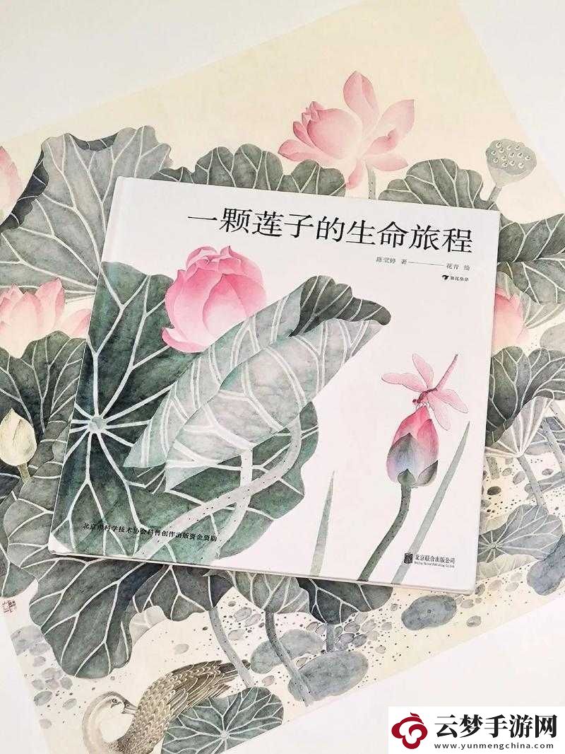 盈盈64