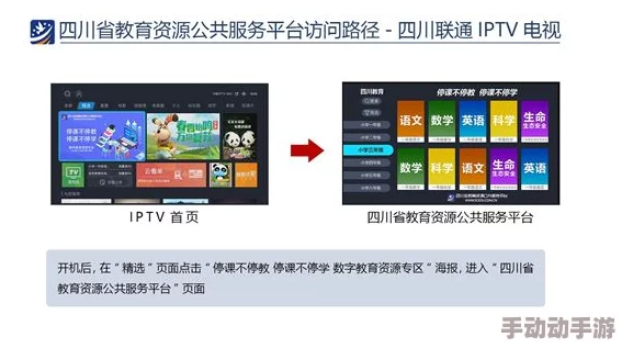探索毛片資源