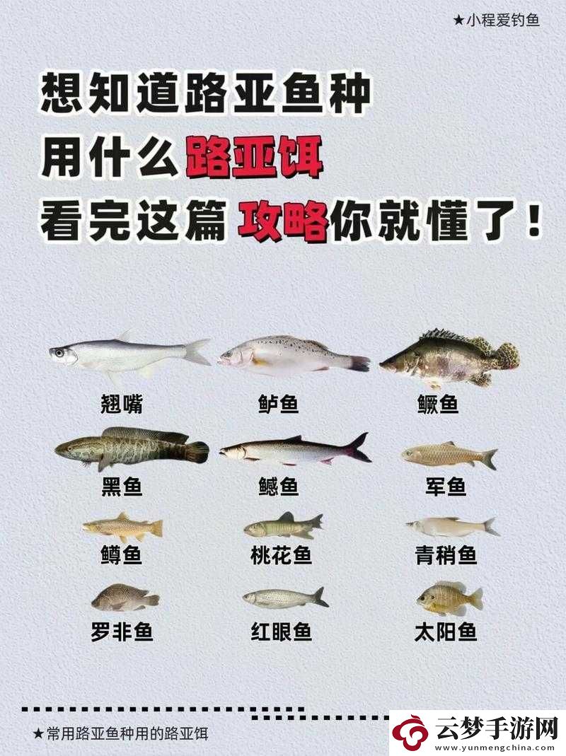 荒野大鏢客2傳說紅鮭魚地圖分布及釣魚攻略詳解