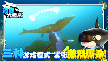 陰陽師活力值恢復(fù)機(jī)制全面解析！