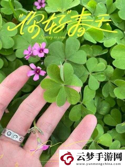 成品人和精品人的區(qū)別四葉草