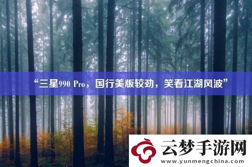 “三星990Pro國(guó)行美版較勁笑看江湖風(fēng)波”