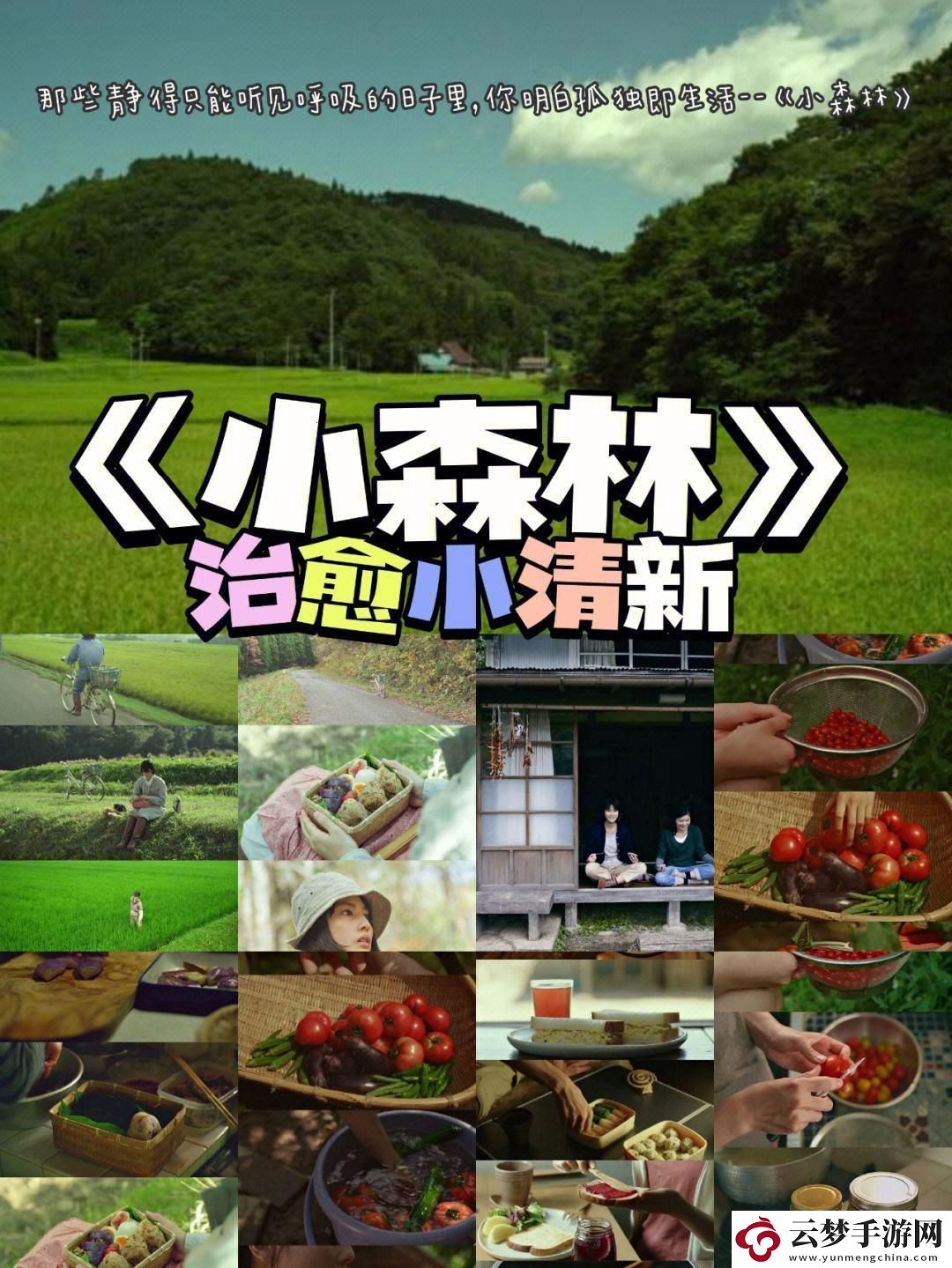 揭秘！探幽“你的小森林”