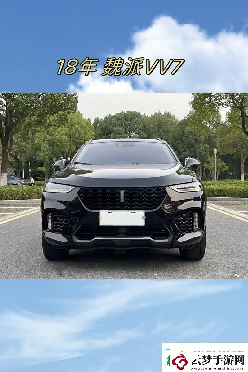 國產(chǎn)毛卡SUV之翹楚
