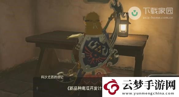 塞爾達(dá)傳說(shuō)王國(guó)之淚情節(jié)挑戰(zhàn)攻略大全