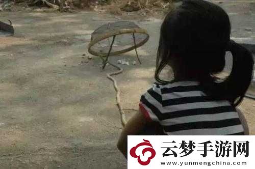 成人精品**亞洲歐美一區(qū)仙蹤林