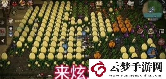 饑荒新家園土豆種子獲得方法