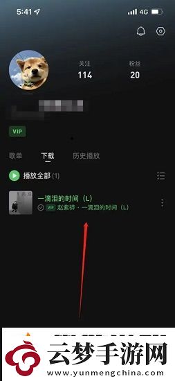 汽水音樂(lè)下載的音樂(lè)在哪里
