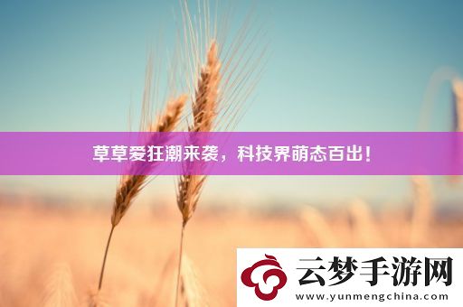 草草愛狂潮來(lái)襲