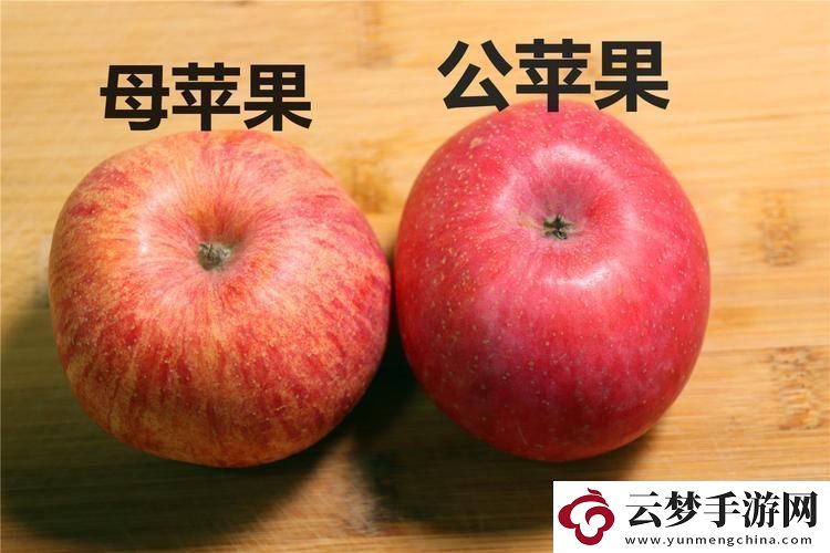 “蘋果158分未減除版”