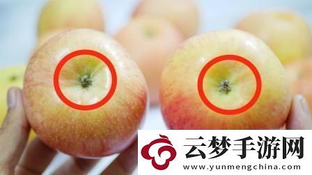 “蘋果158分未減除版”