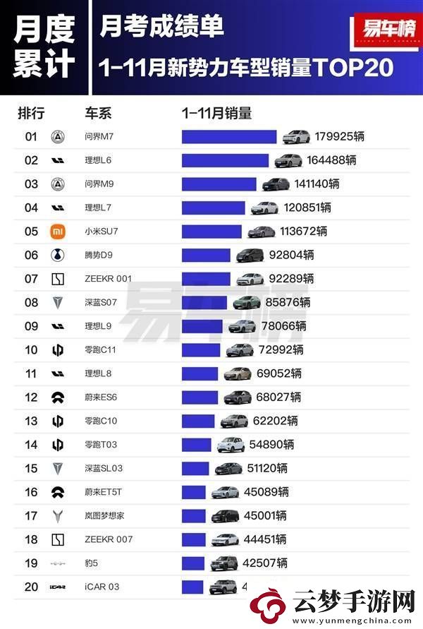 2024年前11月新能源車型爭霸