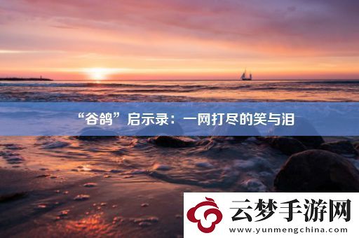 “谷鴿”啟示錄