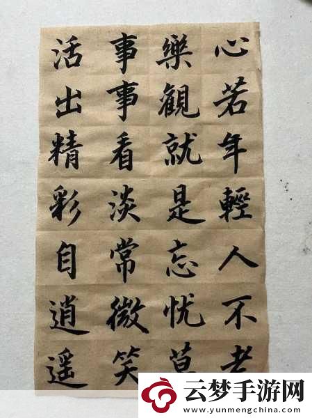 忘憂草1688站